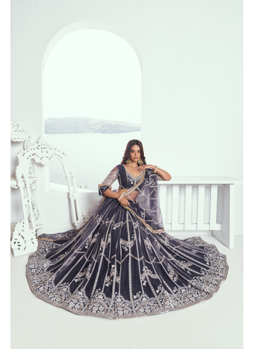 Trendy Party wear Charcol gray net Lehenga with designer blouse.